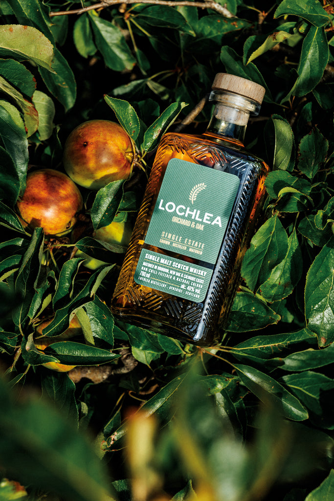 Lochlea Orchard & Oak