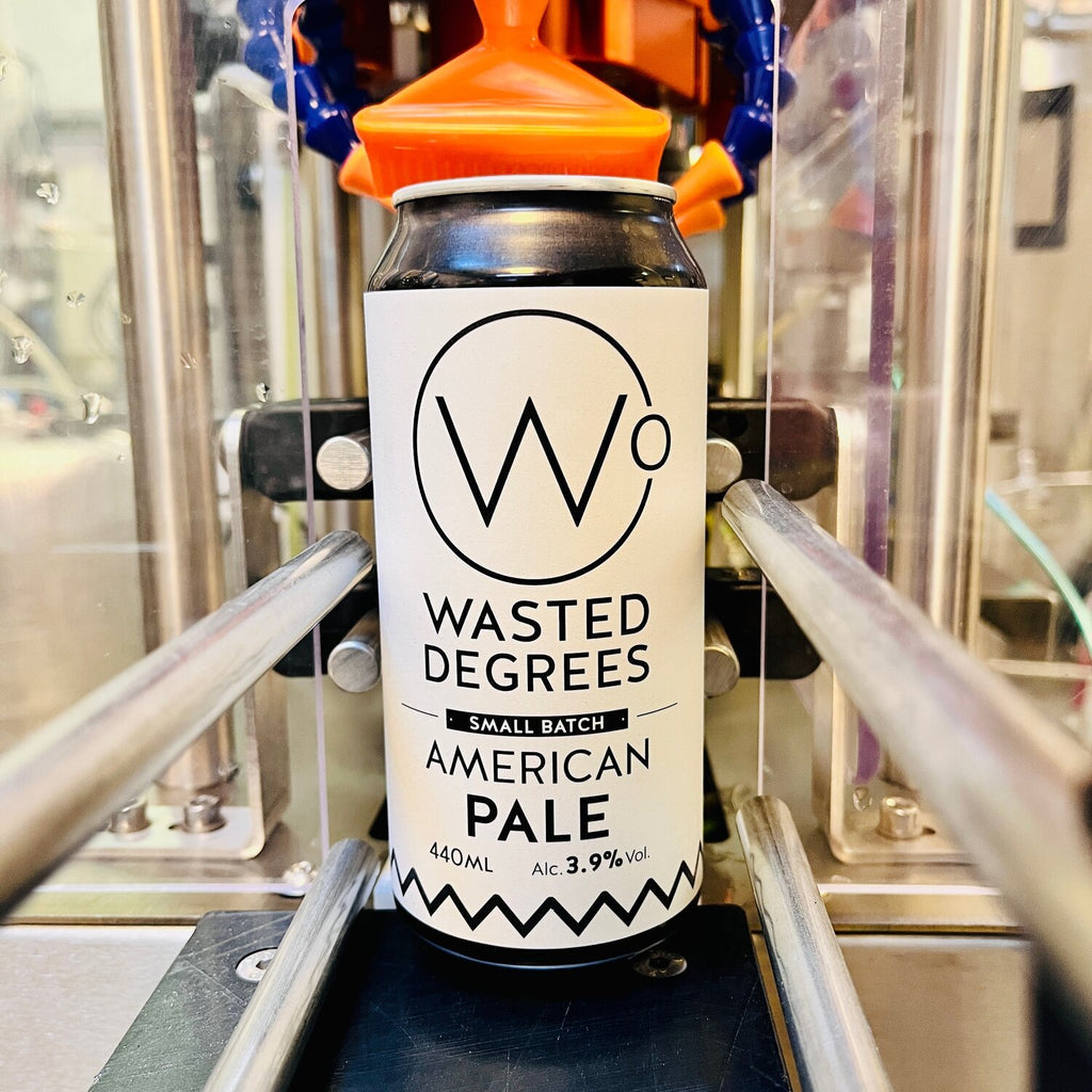 Wasted Degrees - American Pale