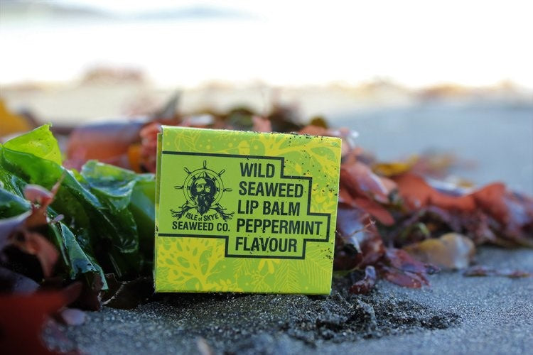 Seaweed Co. - Peppermint Lip Balm