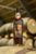 Torabhaig Signatue Reserve - Oloroso Barrel - Isle of Skye Distillers