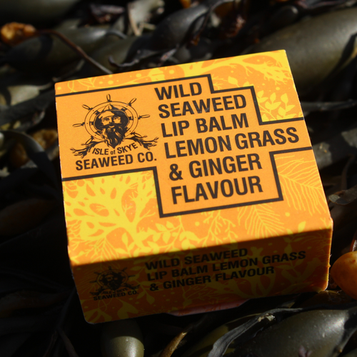 Seaweed Co. - Lemon Grass & Ginger Lip Balm